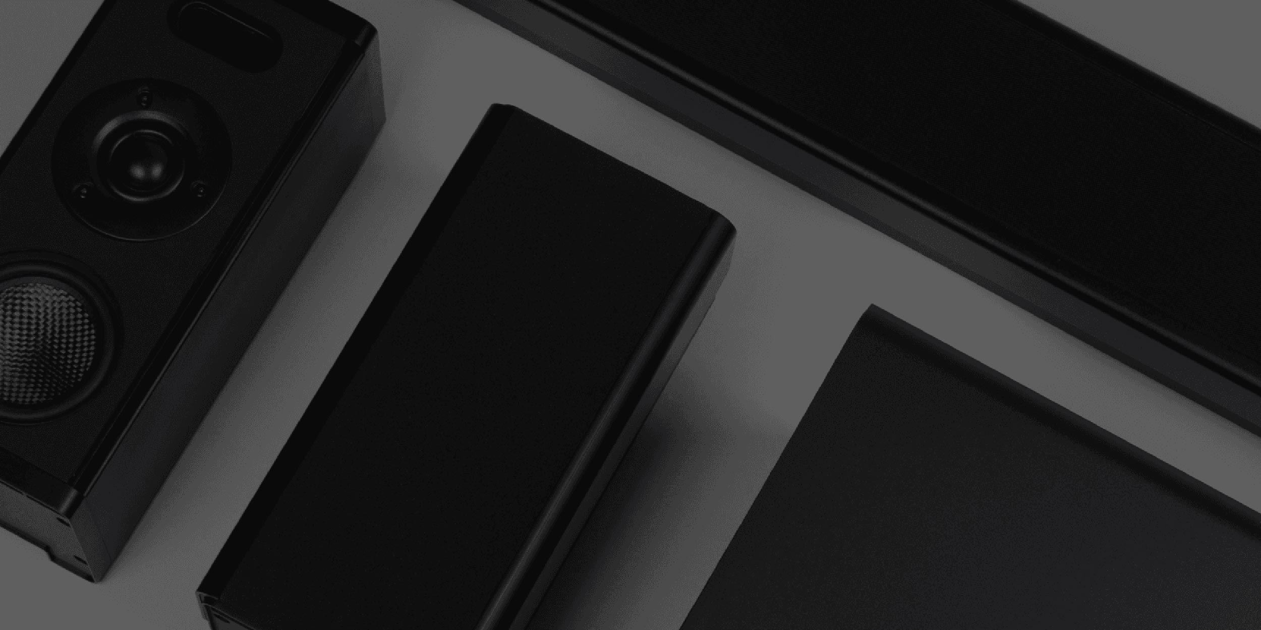 Savant speakers combine refined design with advanced audio technology, delivering immersive sound that blends into the architecture and elevates the experience.